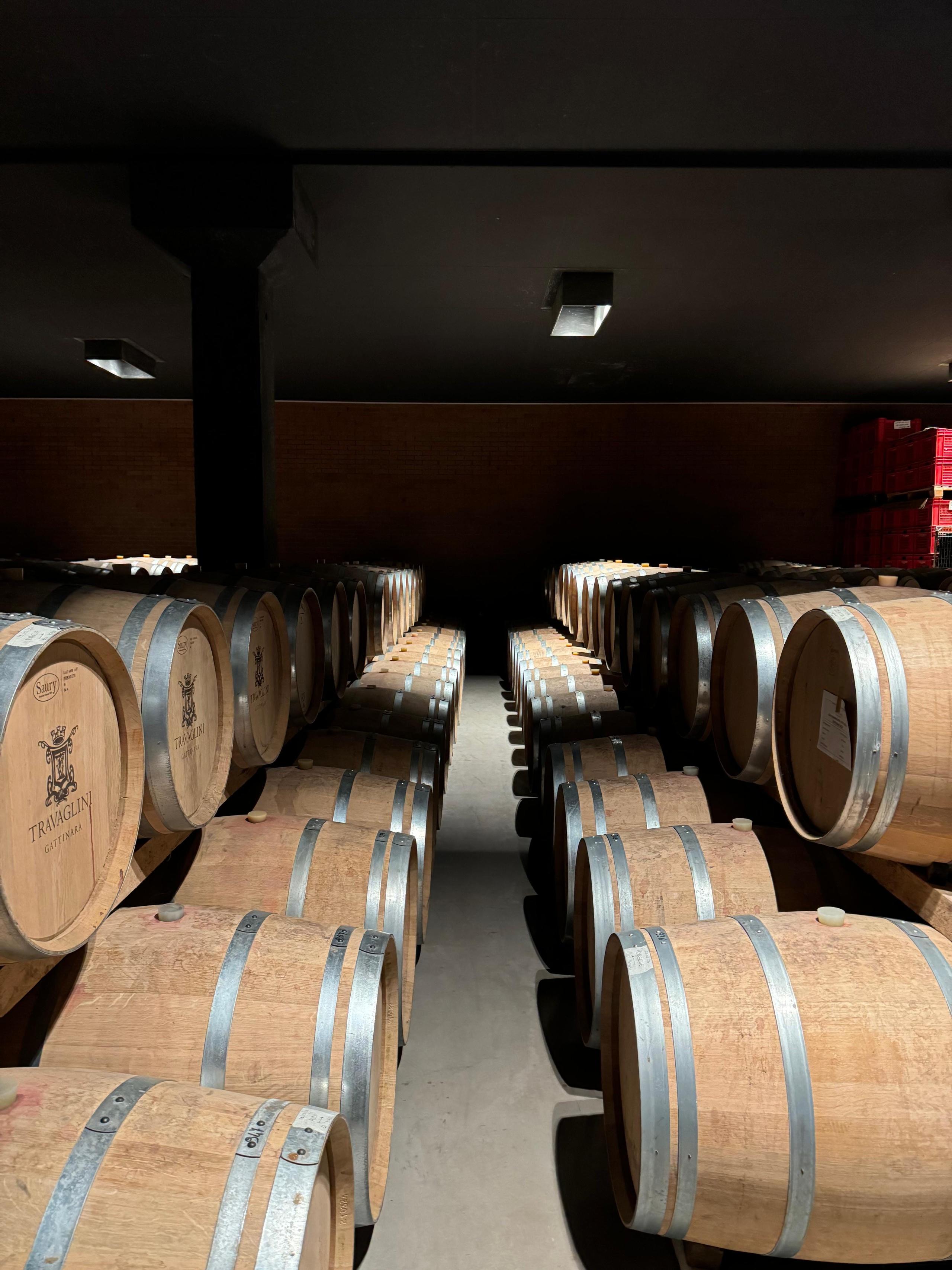 Vineyards visits